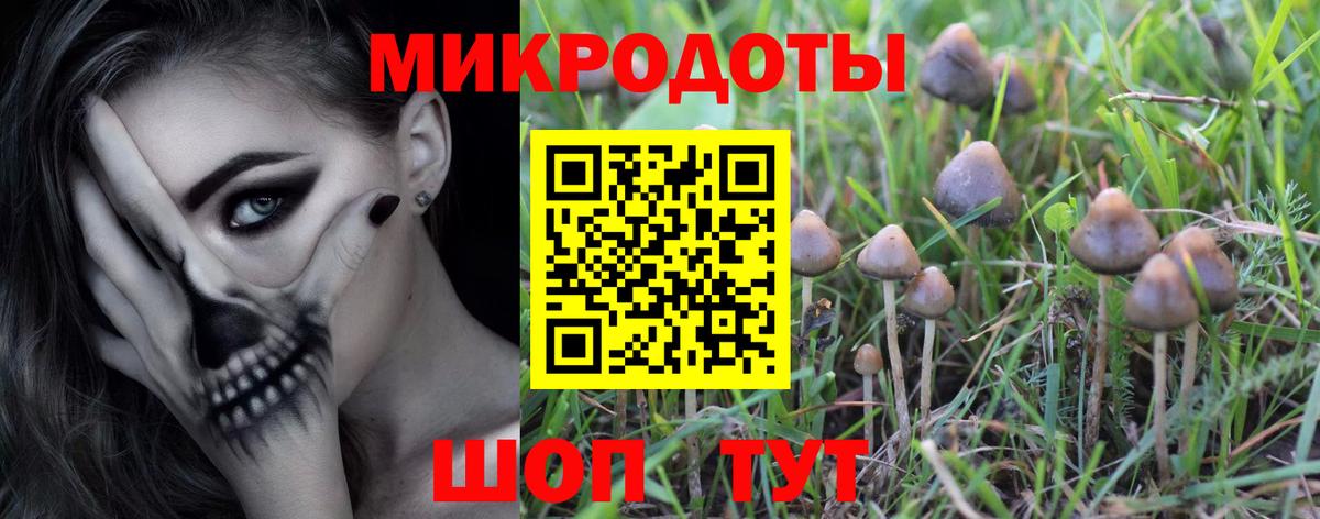 Псилоцибиновые грибы MAGIC MUSHROOMS Вичуга