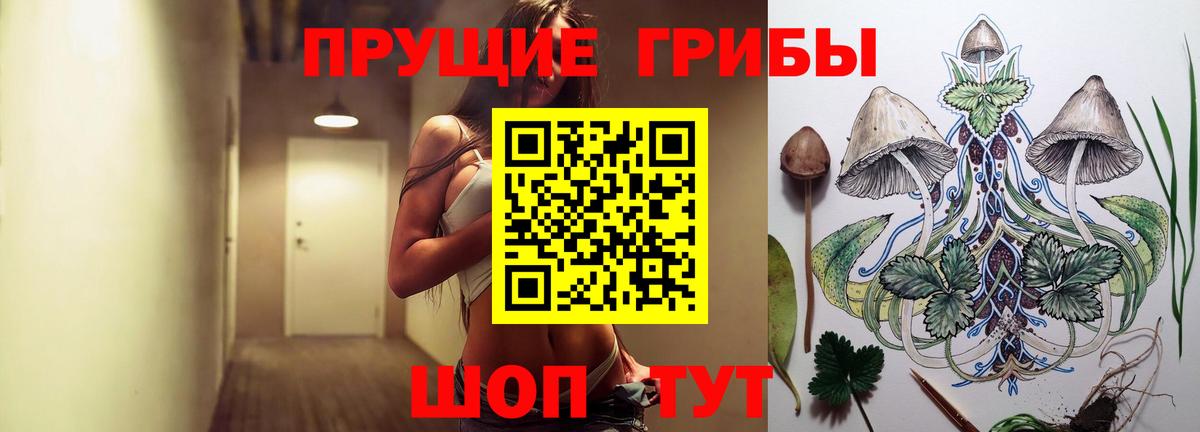 Галлюциногенные грибы Psilocybe  Вход с VPN  Псилоцибиновые грибы GOLDEN TEACHER  Вичуга 